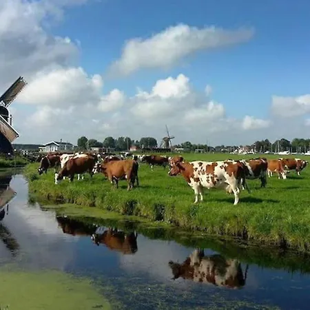 Waterval Wellness-suite Met Sauna! Appartement *