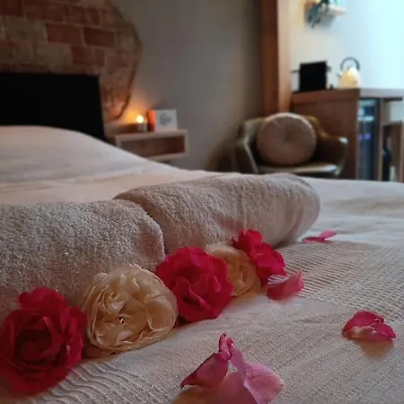 Waterval Wellness-suite Met Sauna! Lejlighed Bodegraven